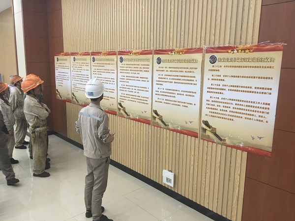 1603175755900751_fae29936a764175688929638d6610bf6.jpg 2017519131456597.jpg